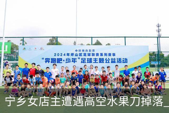 宁乡女店主遭遇高空水果刀掉落 事件背后引发社会关注